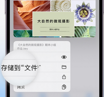鼎湖apple维修中心分享iPhone文件应用中存储和找到下载文件