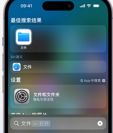 鼎湖apple维修中心分享iPhone文件应用中存储和找到下载文件 