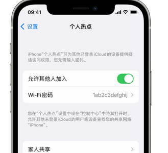 鼎湖apple服务站点分享iPhone上个人热点丢失了怎么办 