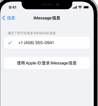 鼎湖apple维修iPhone上无法正常发送iMessage信息