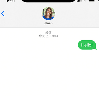 鼎湖apple维修iPhone上无法正常发送iMessage信息