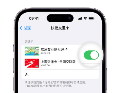 鼎湖apple维修点分享iPhone上更换Apple Pay快捷交通卡手绘卡面 