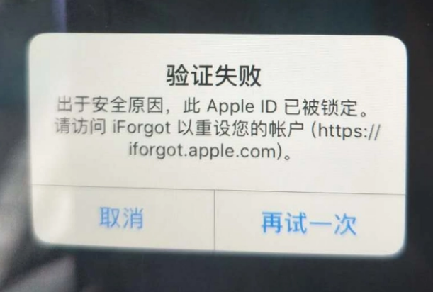 鼎湖iPhone维修分享iPhone上正常登录或使用AppleID怎么办 