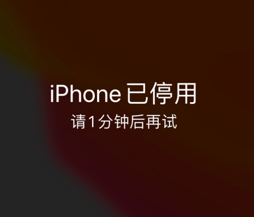 鼎湖苹果手机维修分享:iPhone 显示“不可用”或“已停用”怎么办？还能保留数据吗？ 