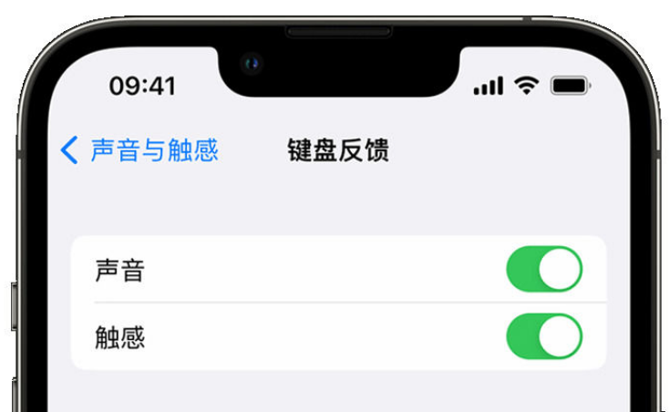 鼎湖苹果手机维修分享iPhone 14触感键盘使用方法 