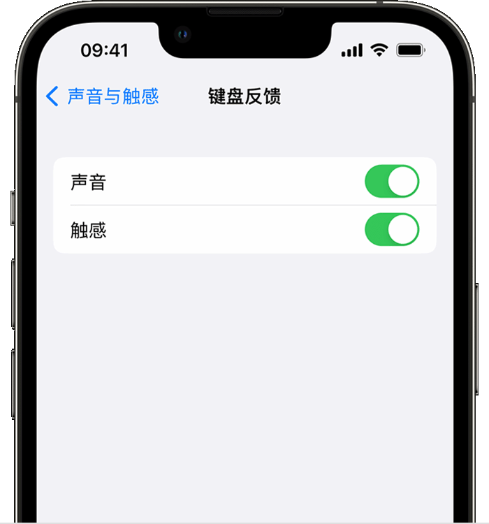 鼎湖苹果14维修店分享如何在 iPhone 14 机型中使用触感键盘 