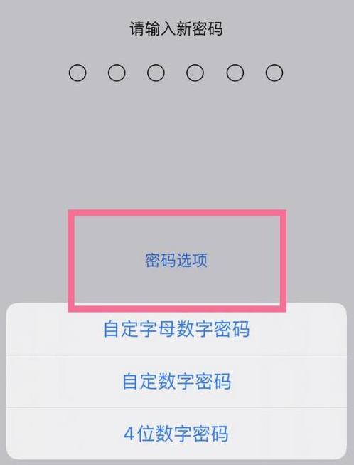 鼎湖苹果14维修分享iPhone 14plus设置密码的方法 