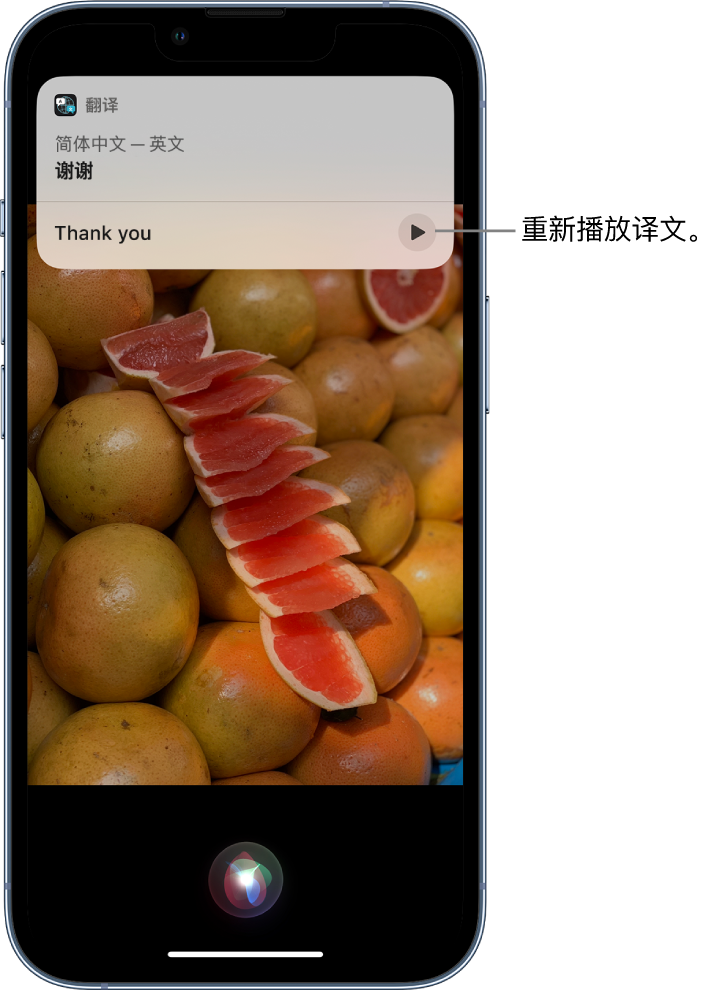 鼎湖苹果14维修分享 iPhone 14 机型中使用 Siri：了解 Siri 能帮你做什么 