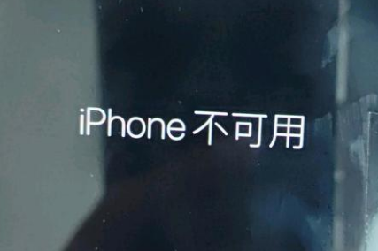 鼎湖苹果服务网点分享锁屏界面显示“iPhone 不可用”如何解决 