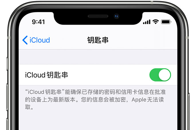 鼎湖苹果手机维修分享在 iPhone 上开启 iCloud 钥匙串之后会储存哪些信息 