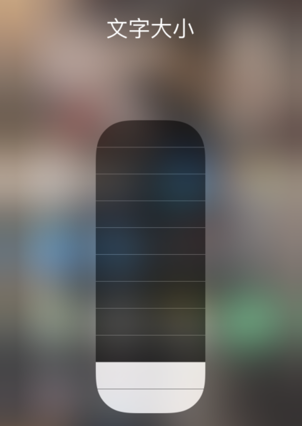 鼎湖苹果手机维修分享小技巧：在 iPhone 控制中心快速调节字体大小 