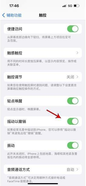 鼎湖苹果手机维修分享iPhone手机如何设置摇一摇删除文字 