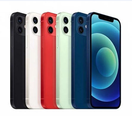 鼎湖苹果维修点分享iPhone 12 Pro Max黑屏冷门故障解读 